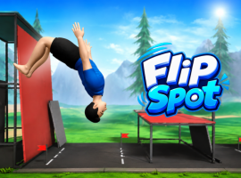 Flip Spot