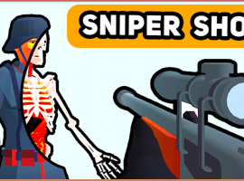 Sniper Shot: Bullet Time